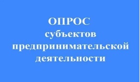 Анкета для опроса субъектов предпринимательской деятельности 2025